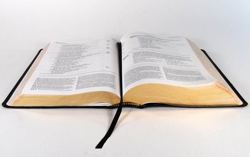 bible, religion, christianity-879084.jpg